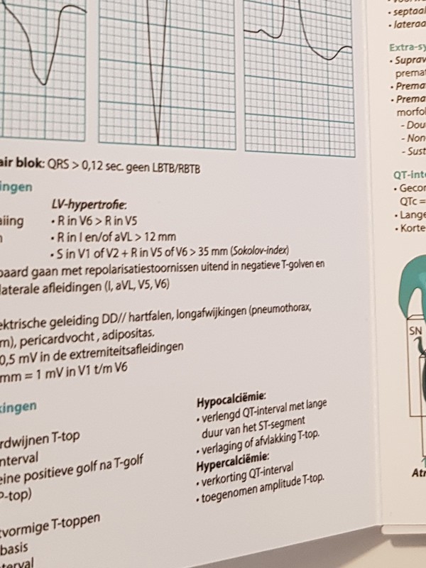 notitieboekje