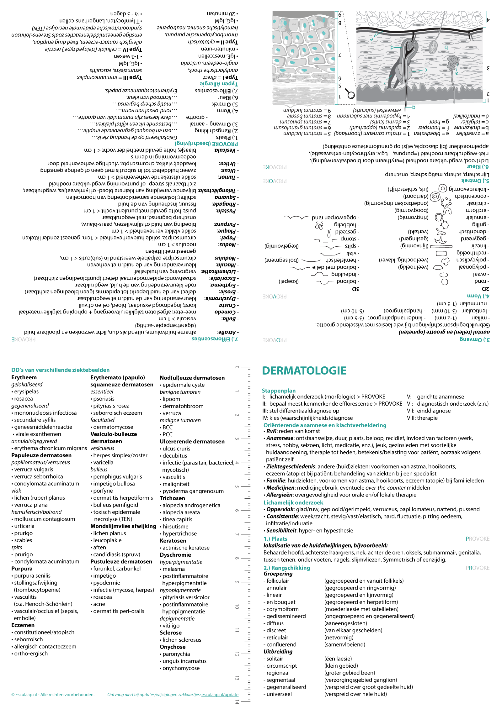 dermatologie