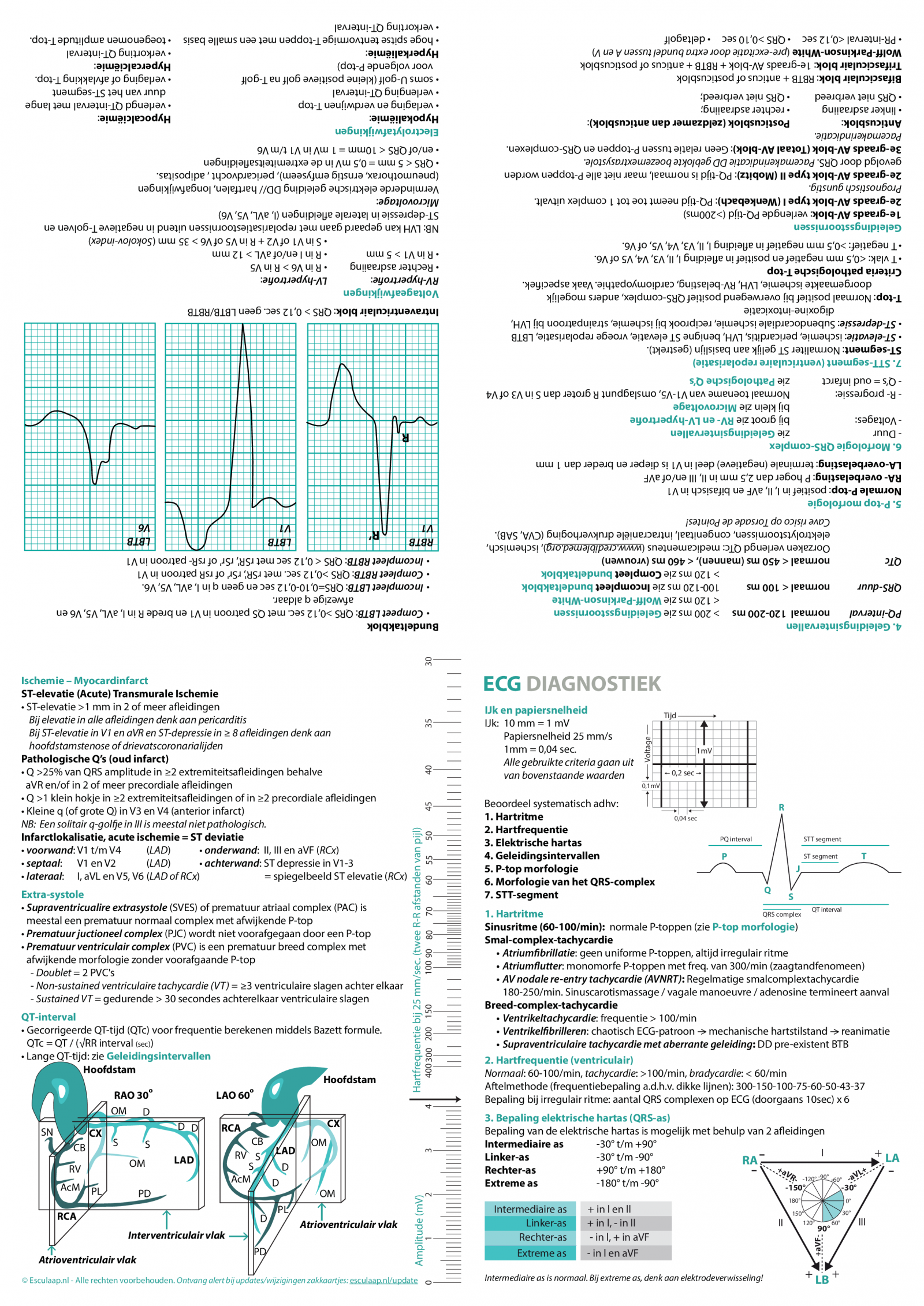 ecg-diagnostiek