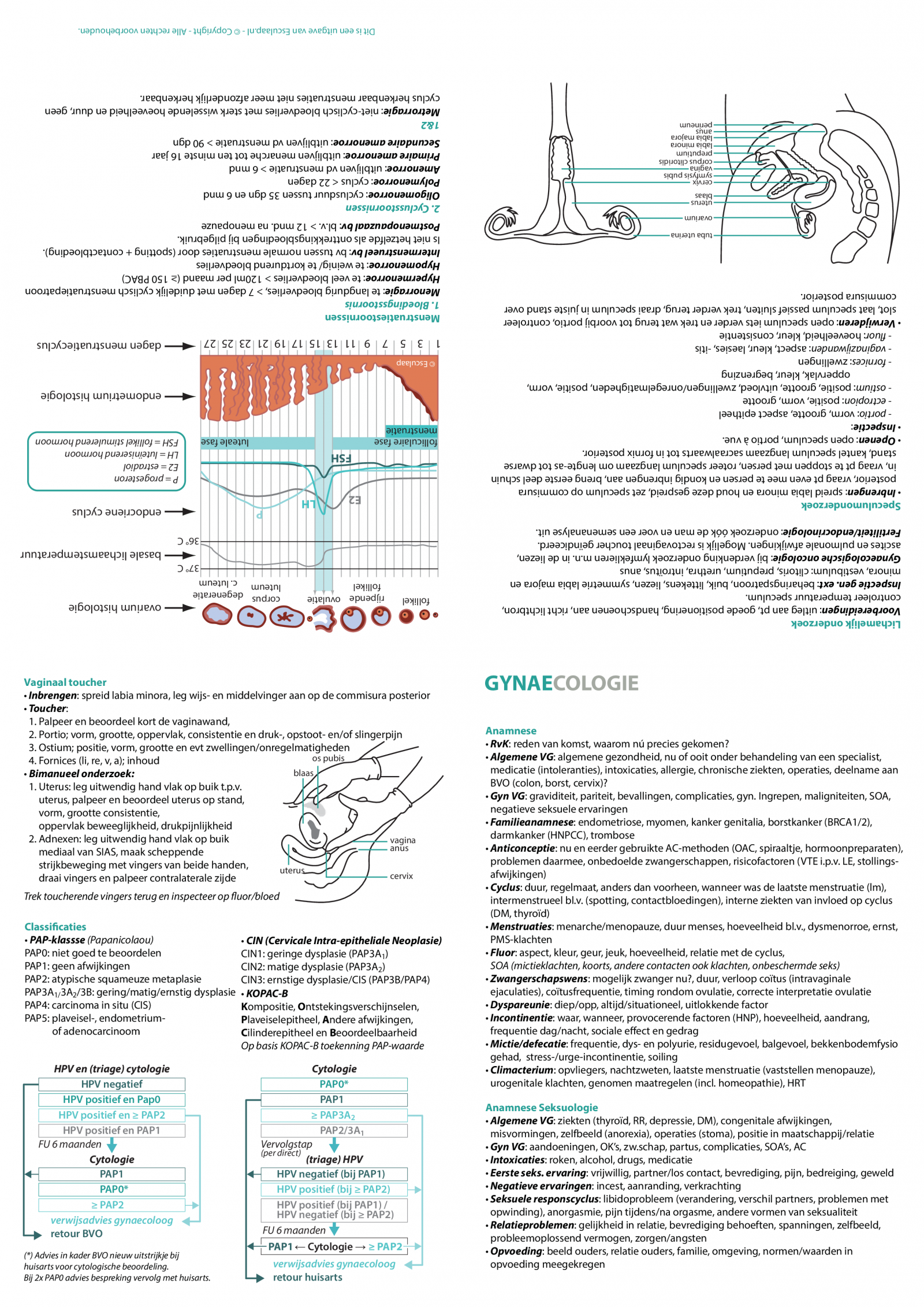 gynaecologie