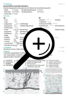 dermatologie