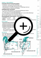 ecg-diagnostiek