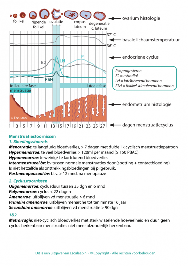 gynaecologie