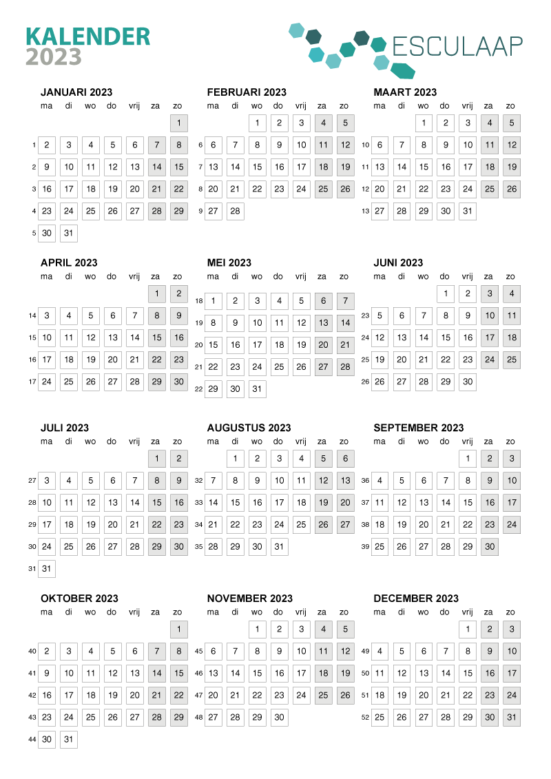 kalender-jaar