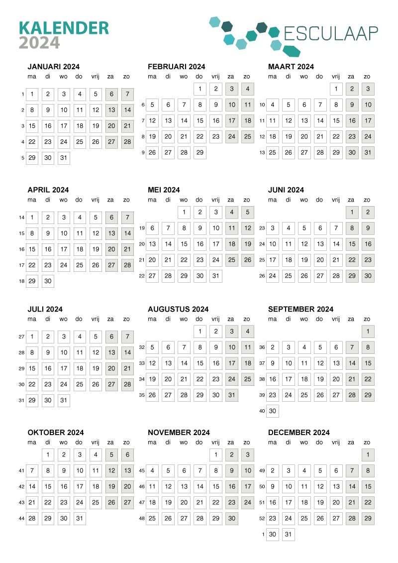 kalender-jaar