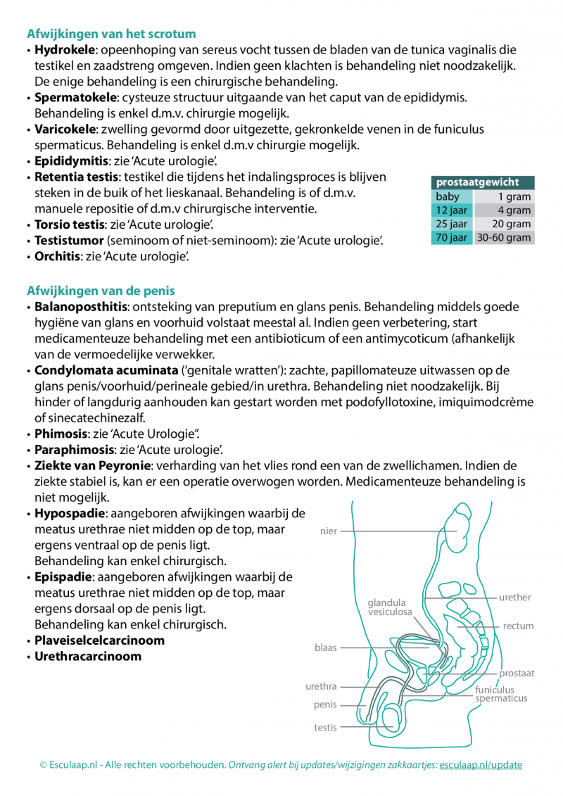 urologie