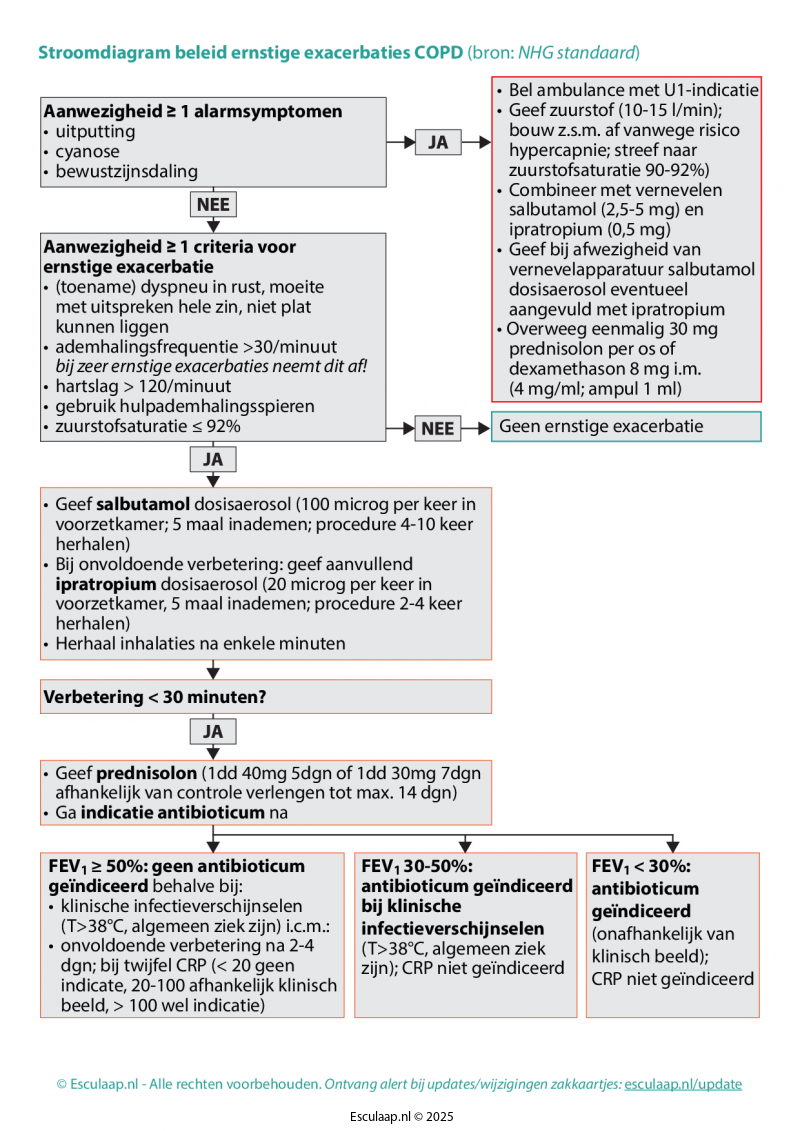 COPD-in-de-ouderenzorg