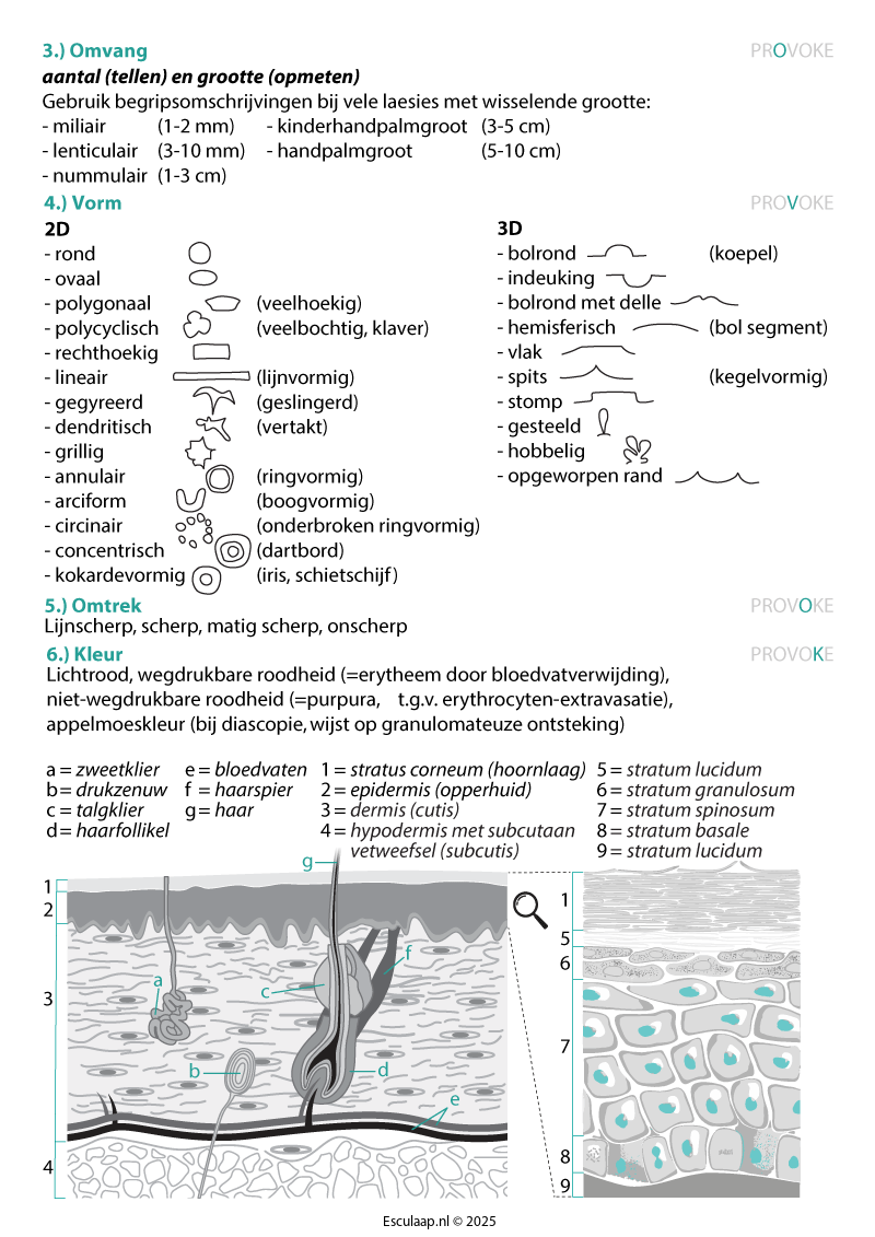 dermatologie