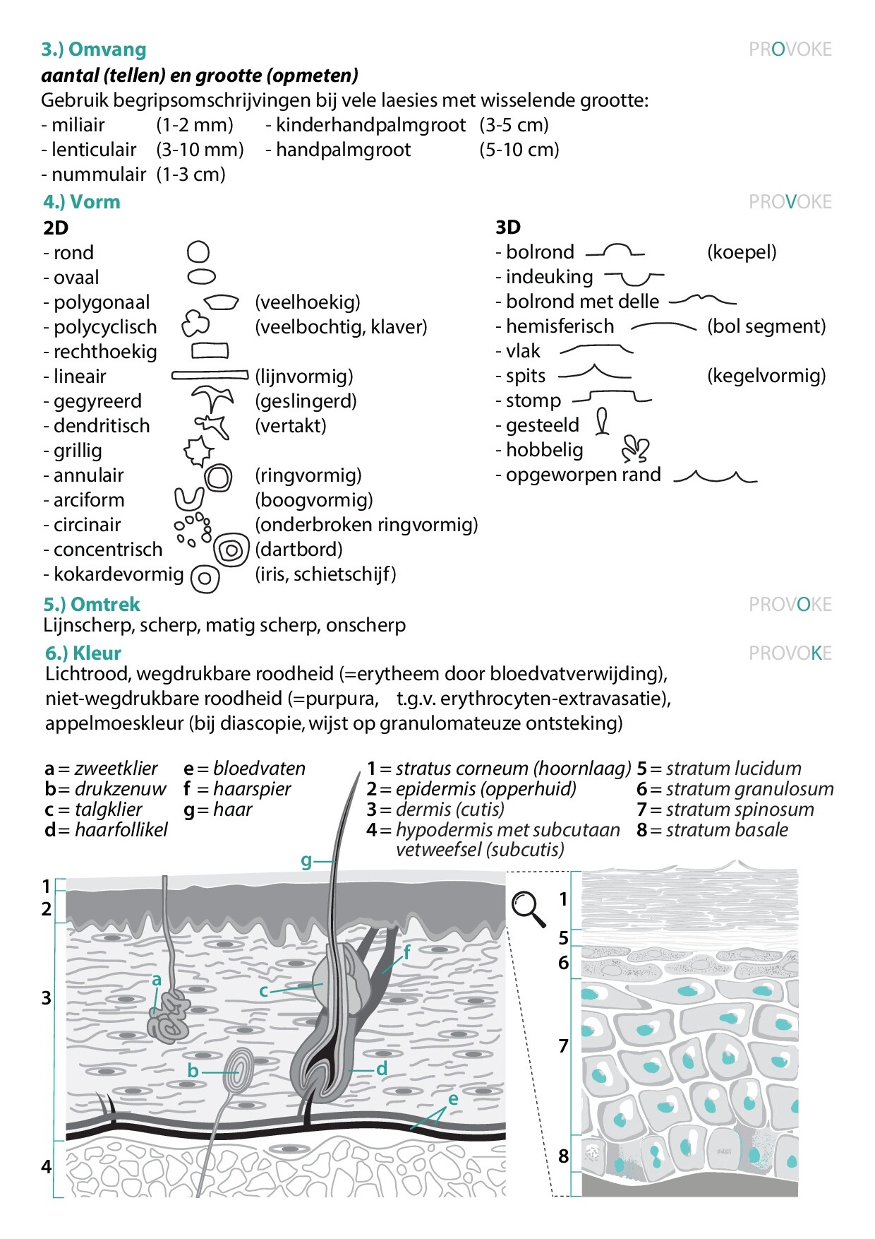 Voorbeeld van pagina 2 van Dermatologie
