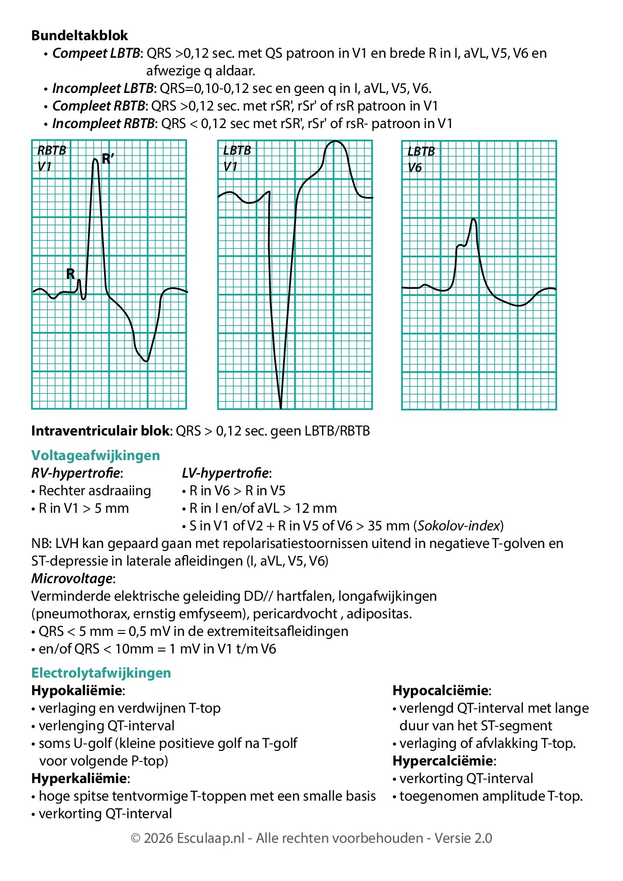 Voorbeeld van pagina 3 van ECG-diagnostiek