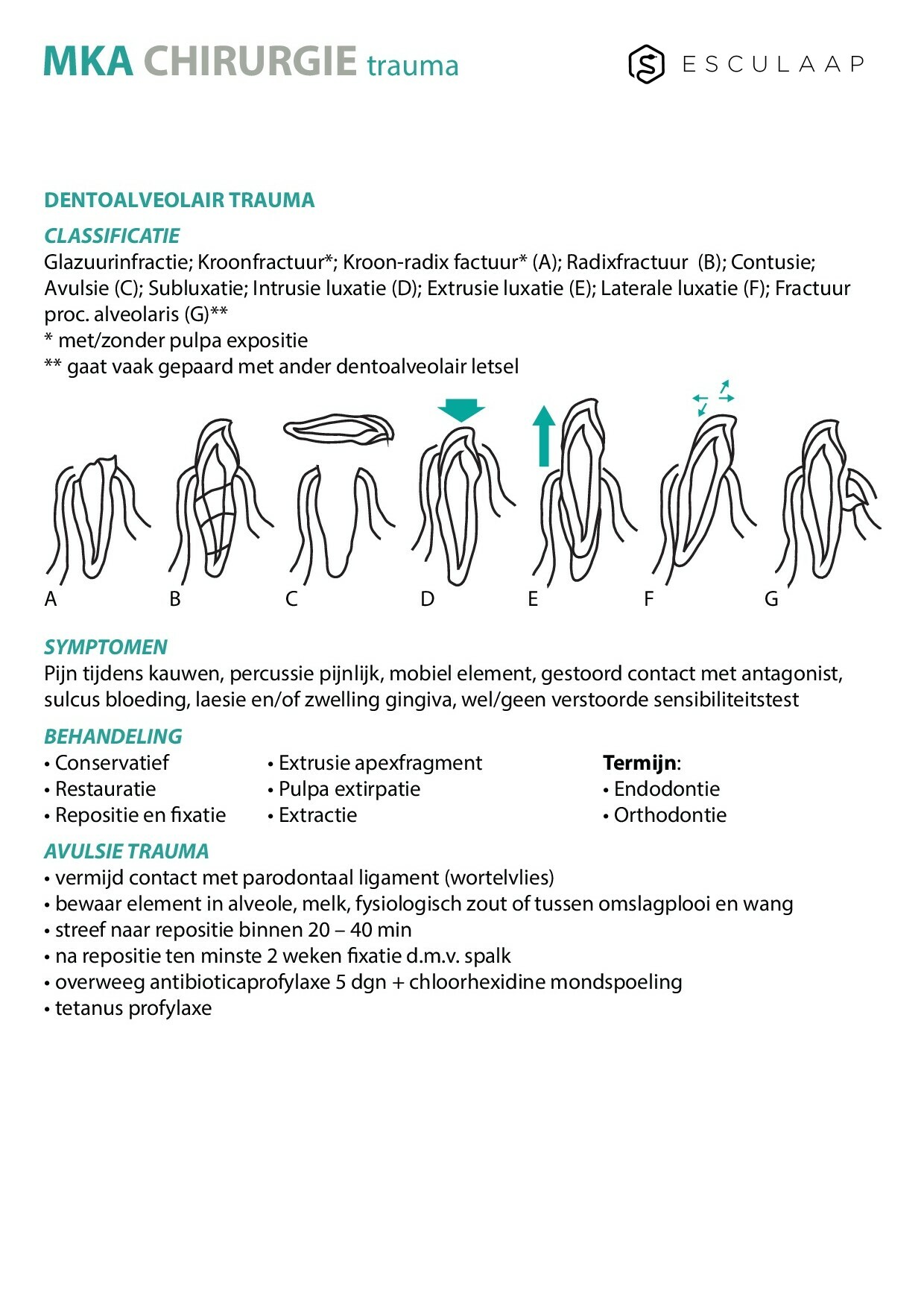 Voorbeeld van pagina 1 van MKA-Chirurgie Trauma