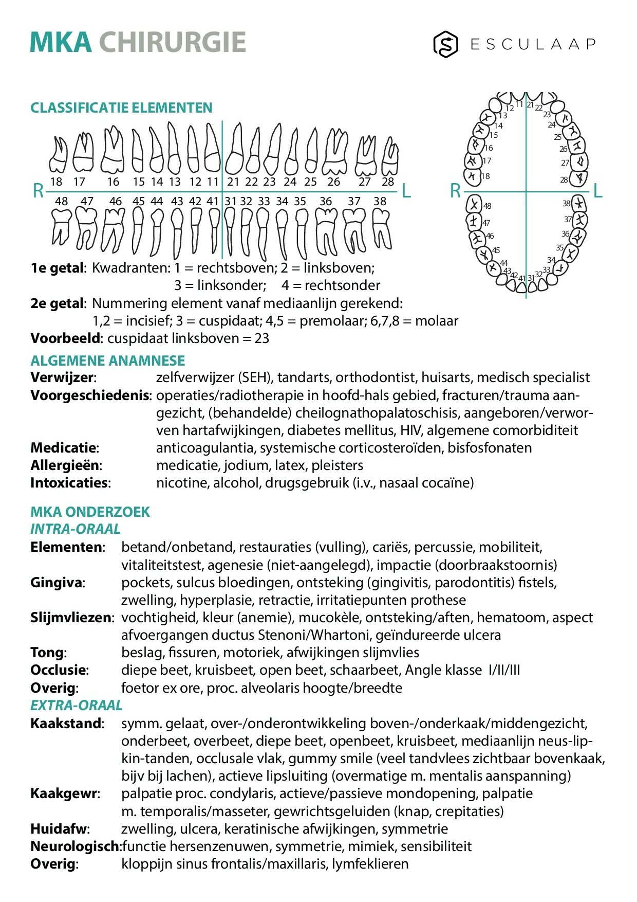 Voorbeeld van pagina 1 van MKA-Chirurgie
