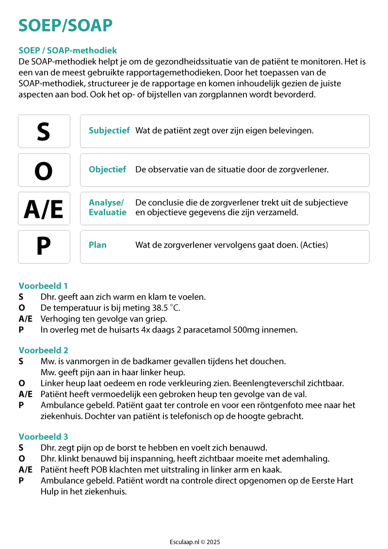 rapporteren