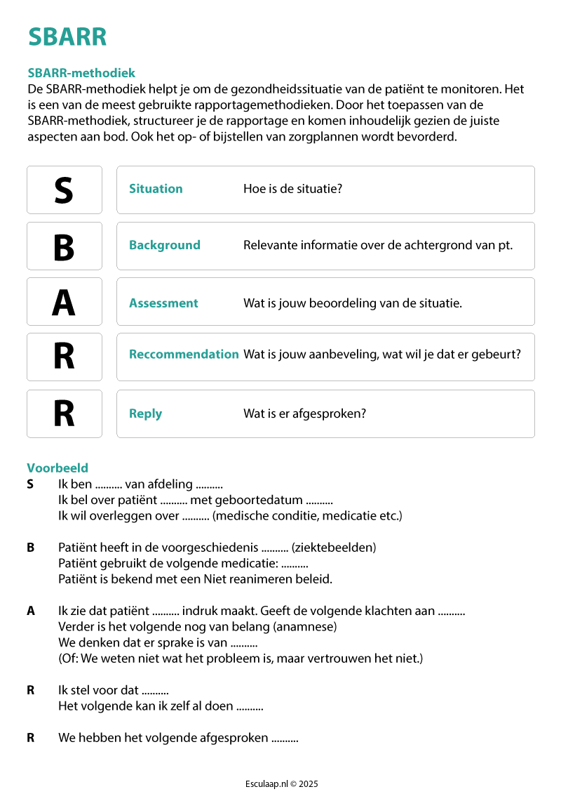 rapporteren