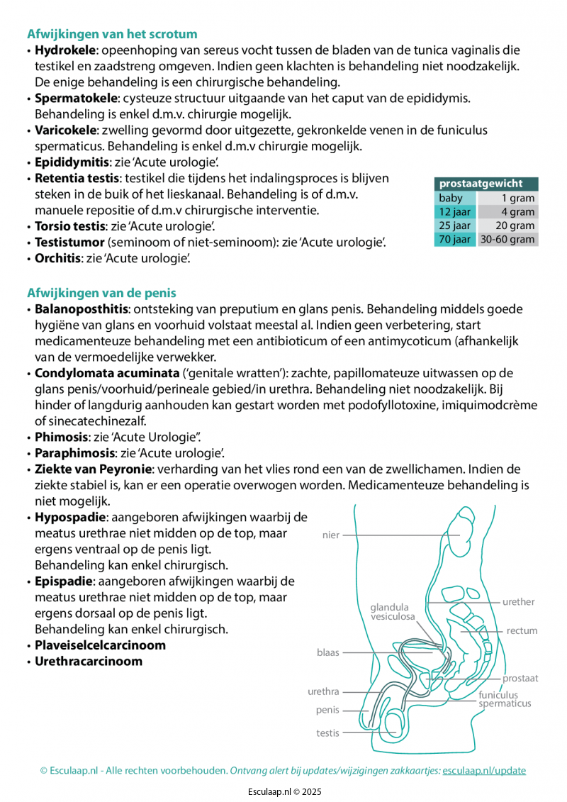 urologie