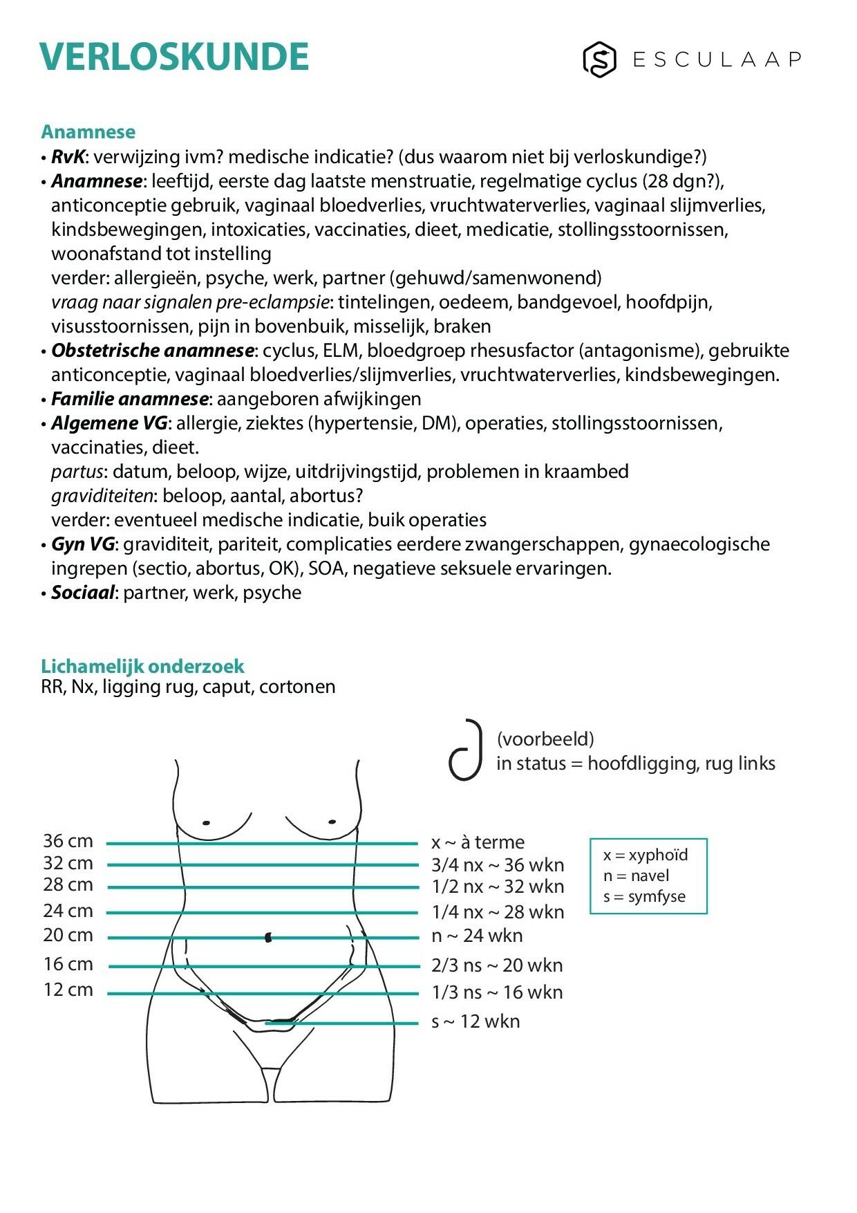 Voorbeeld van pagina 1 van Verloskunde
